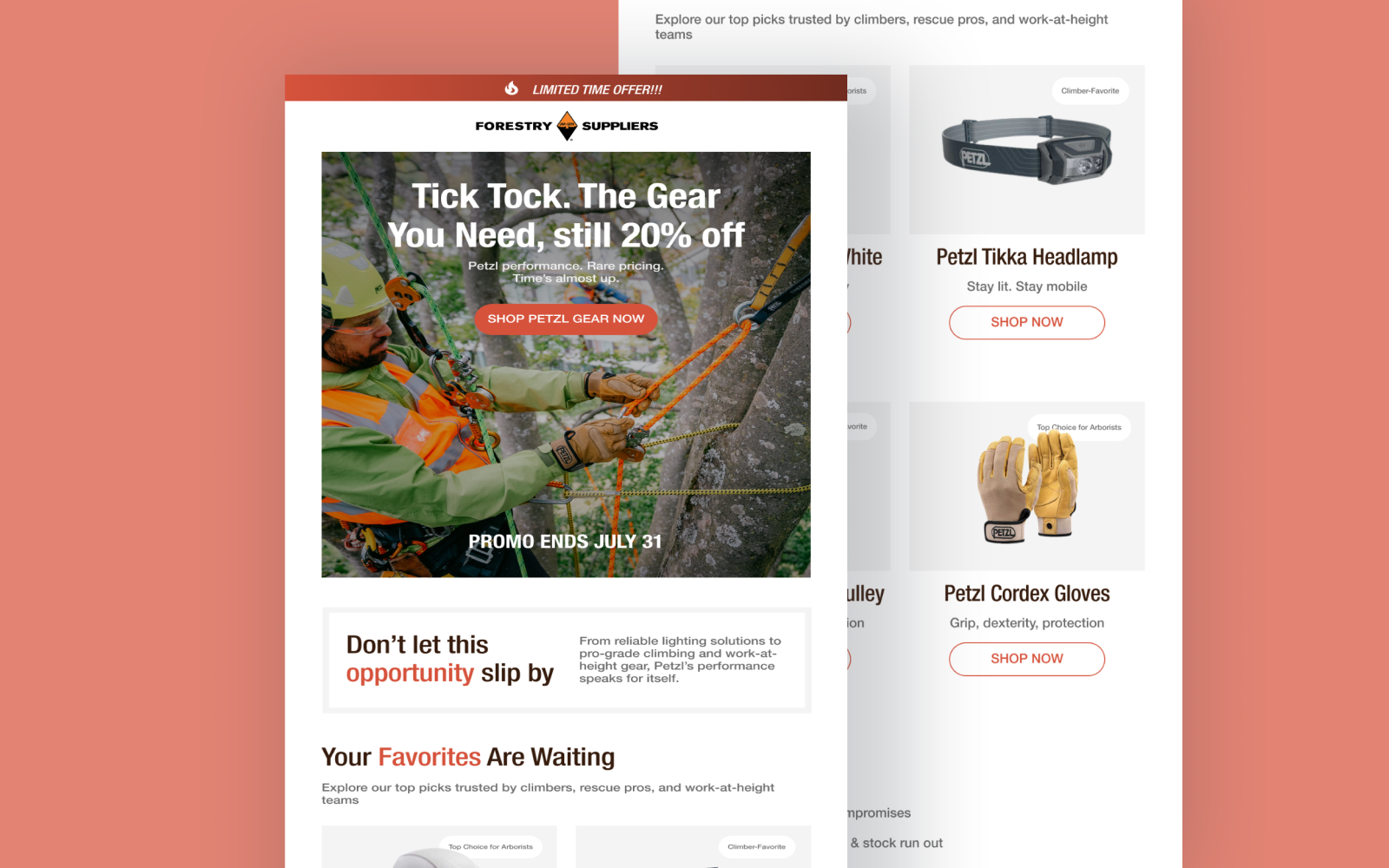 Forestry Suppliers email campaign design thumbnail