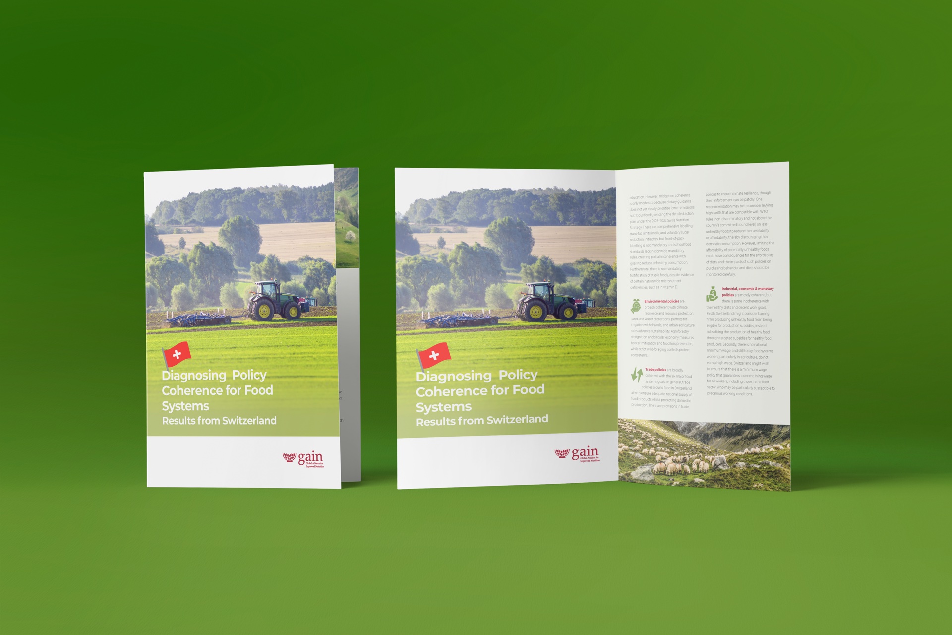Global Alliance for Improved Nutrition project visual 2
