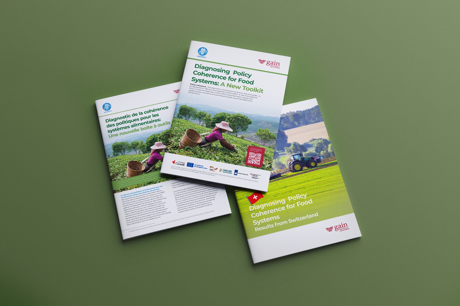 Global Alliance for Improved Nutrition project visual 2