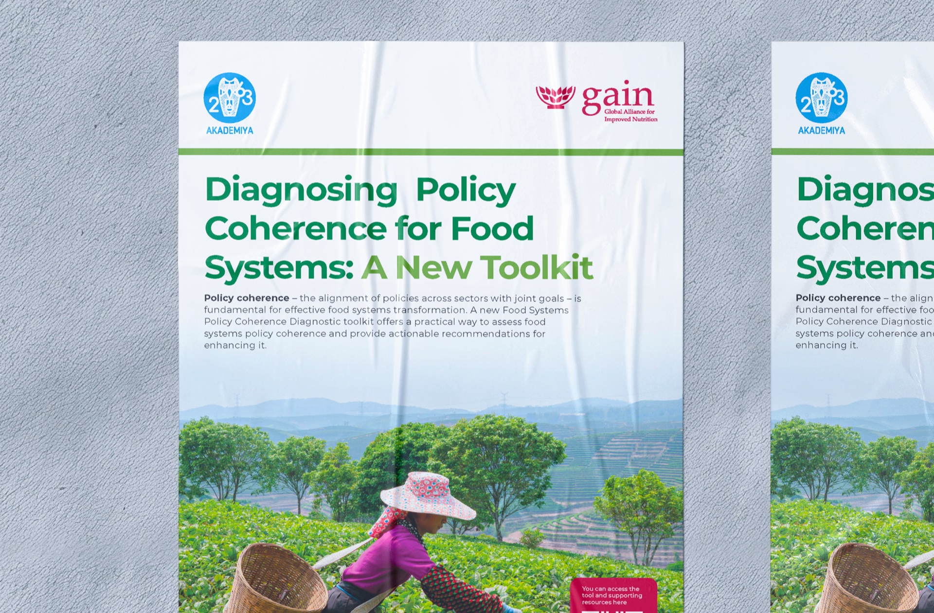 Global Alliance for Improved Nutrition project visual 6