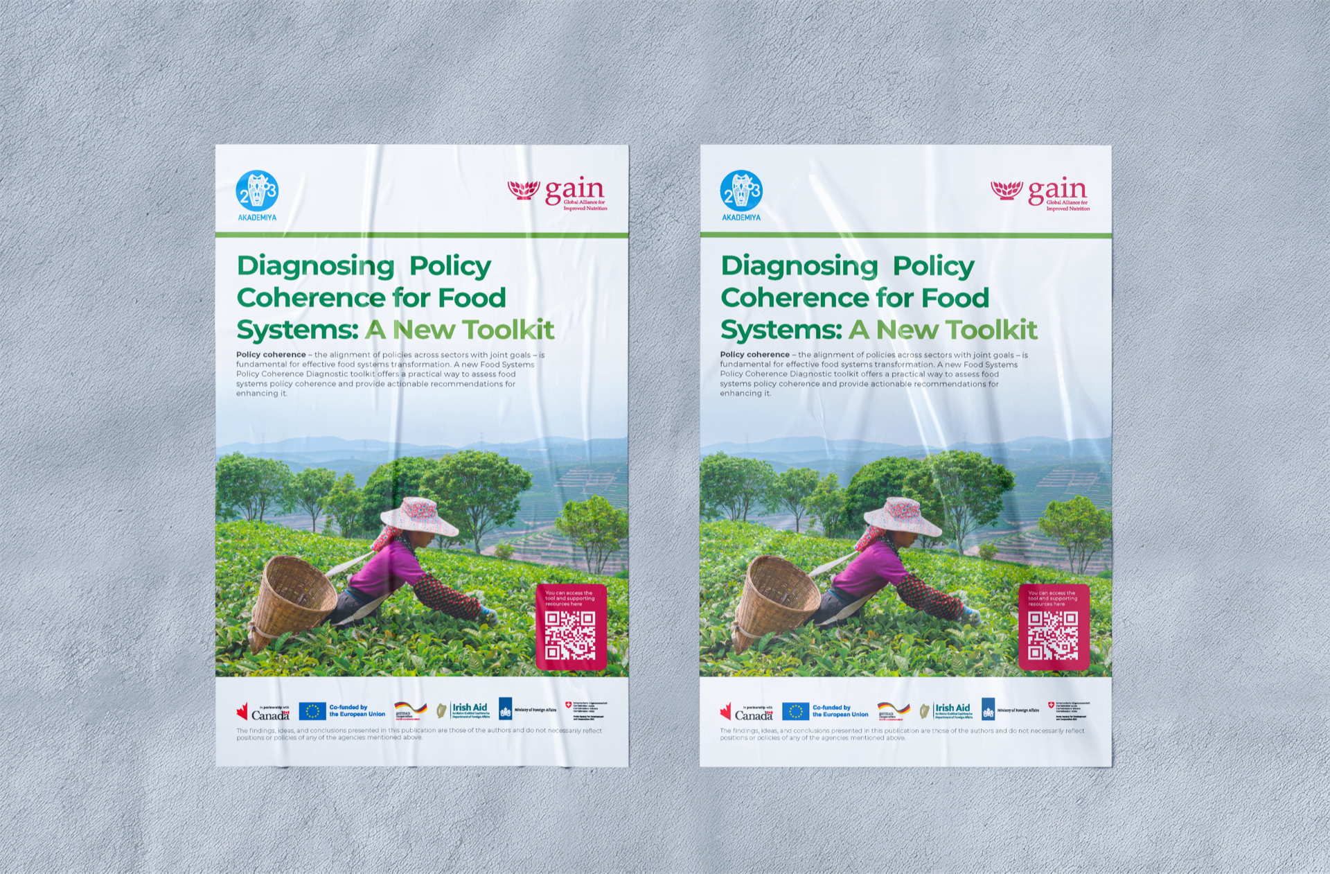 Global Alliance for Improved Nutrition project visual 5