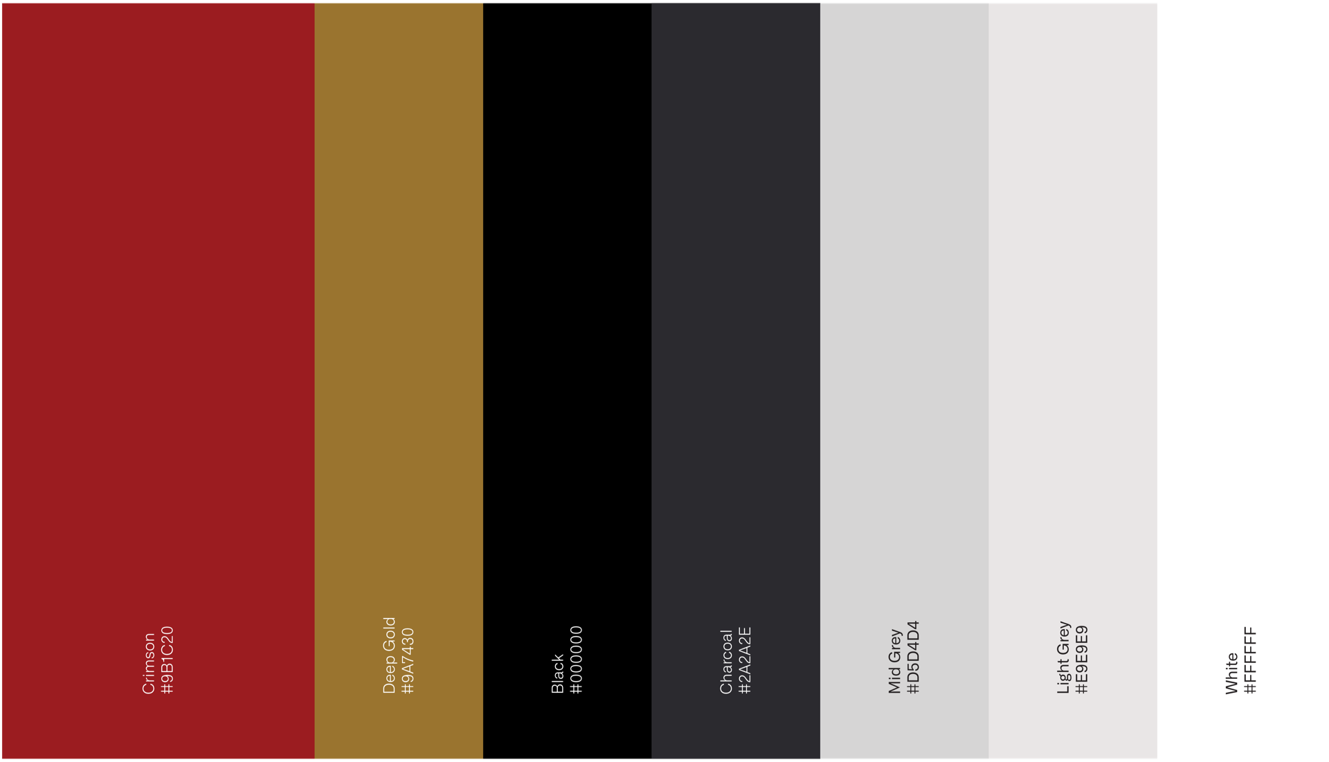 Marcus Flynn project visual 1